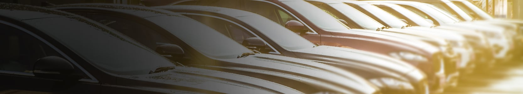 Motor%20dealer%20Fordham.jpg
